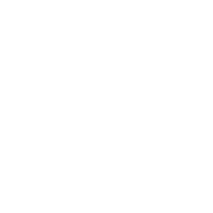 Rio Pinar logo